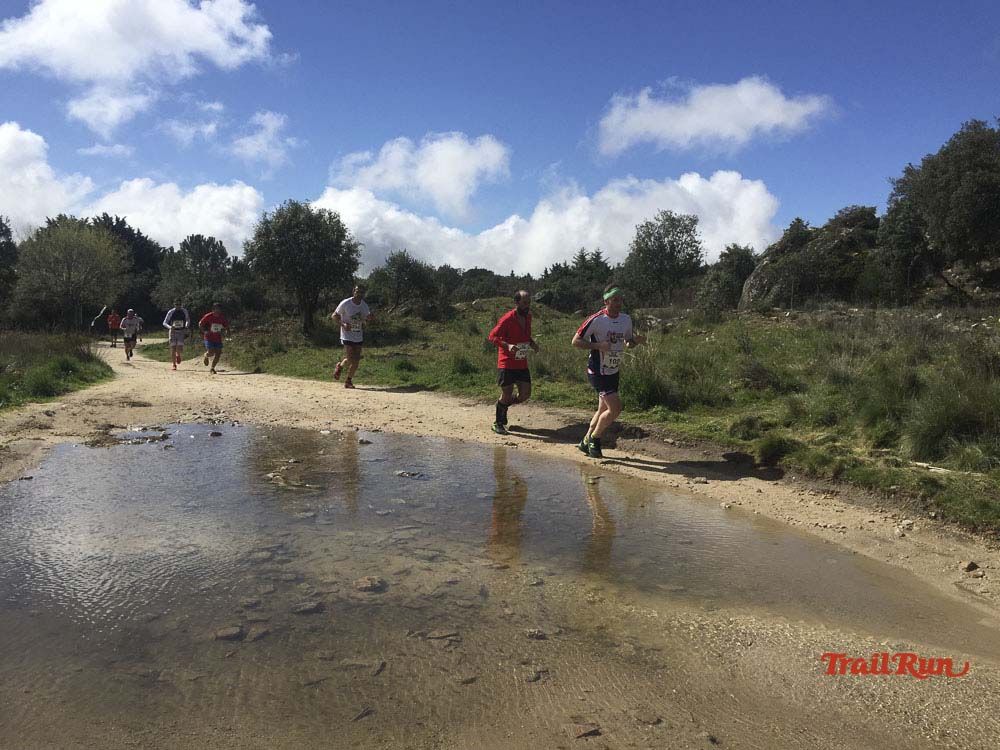 Races Trail Runing Hoyo de Manzanares 2016-12