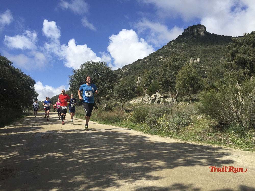 Races Trail Runing Hoyo de Manzanares 2016-12