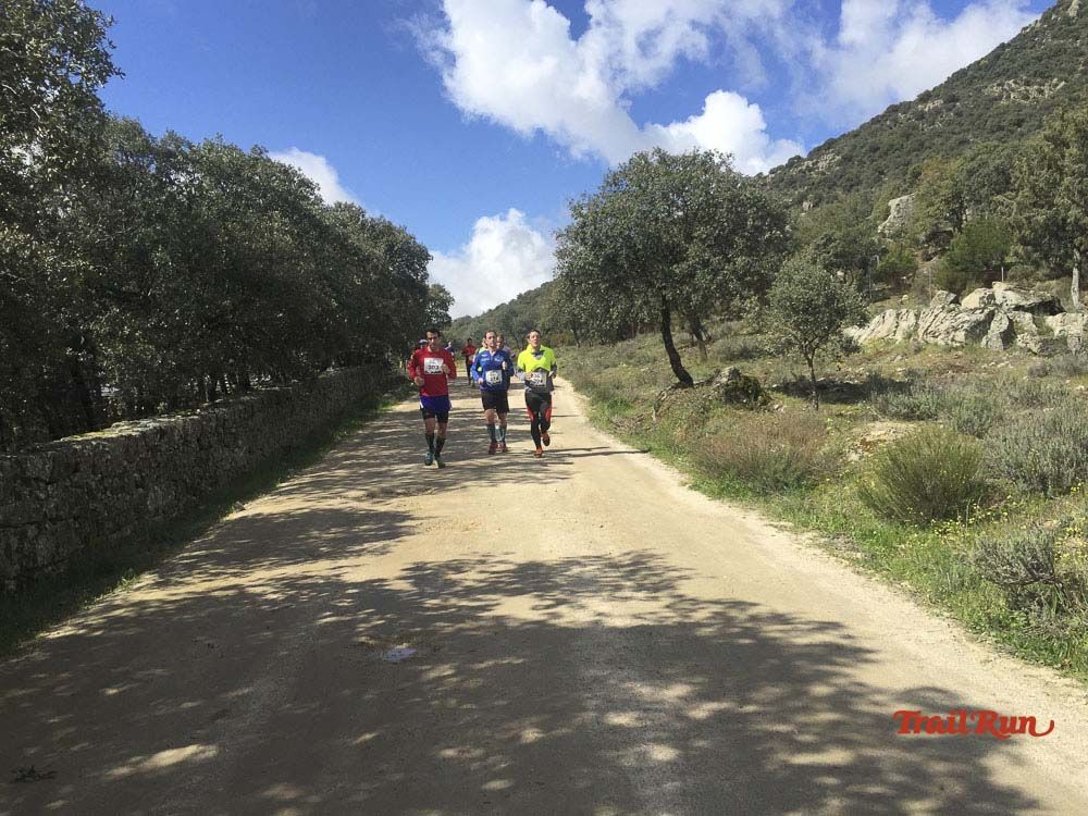 Races Trail Runing Hoyo de Manzanares 2016-12