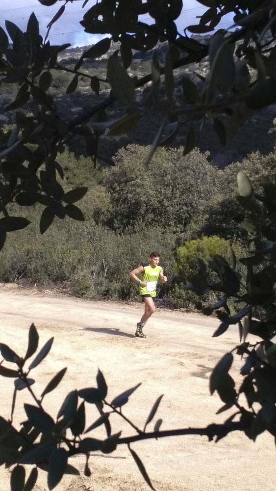 Races Trail Runing Hoyo de Manzanares 2016-12