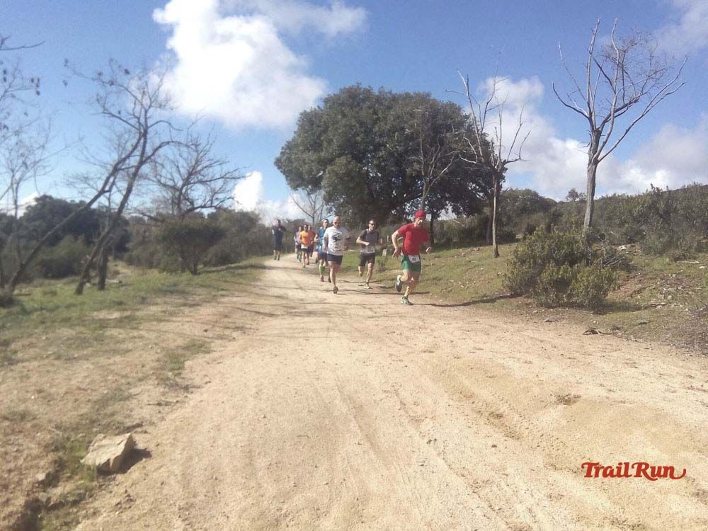 Races Trail Runing Hoyo de Manzanares 2016-12