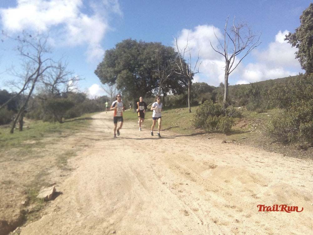 Races Trail Runing Hoyo de Manzanares 2016-12