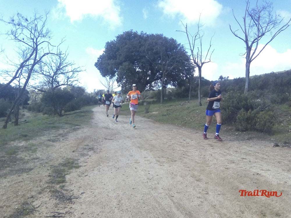 Races Trail Runing Hoyo de Manzanares 2016-12