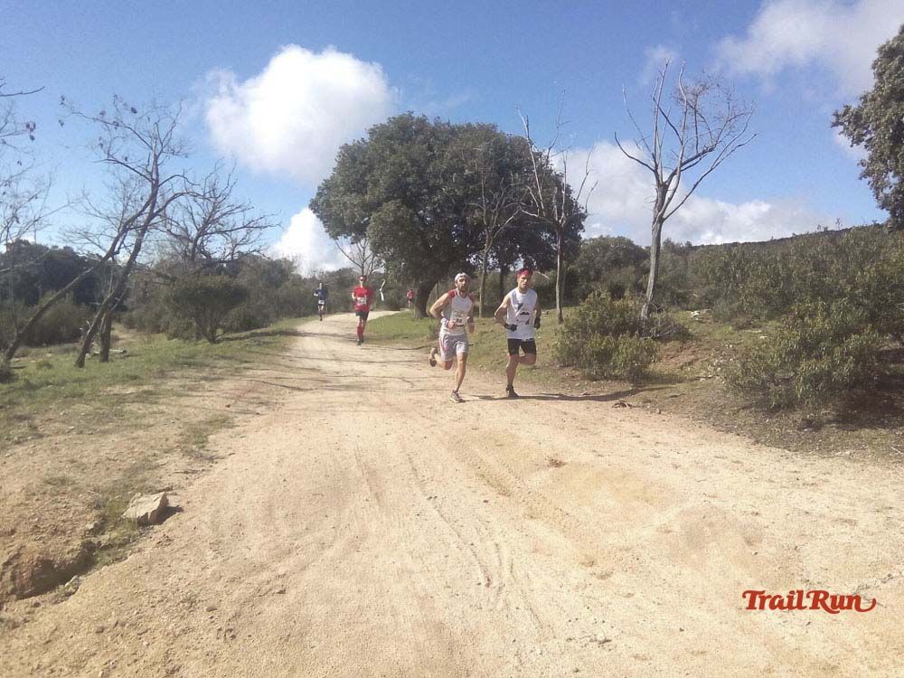 Races Trail Runing Hoyo de Manzanares 2016-12