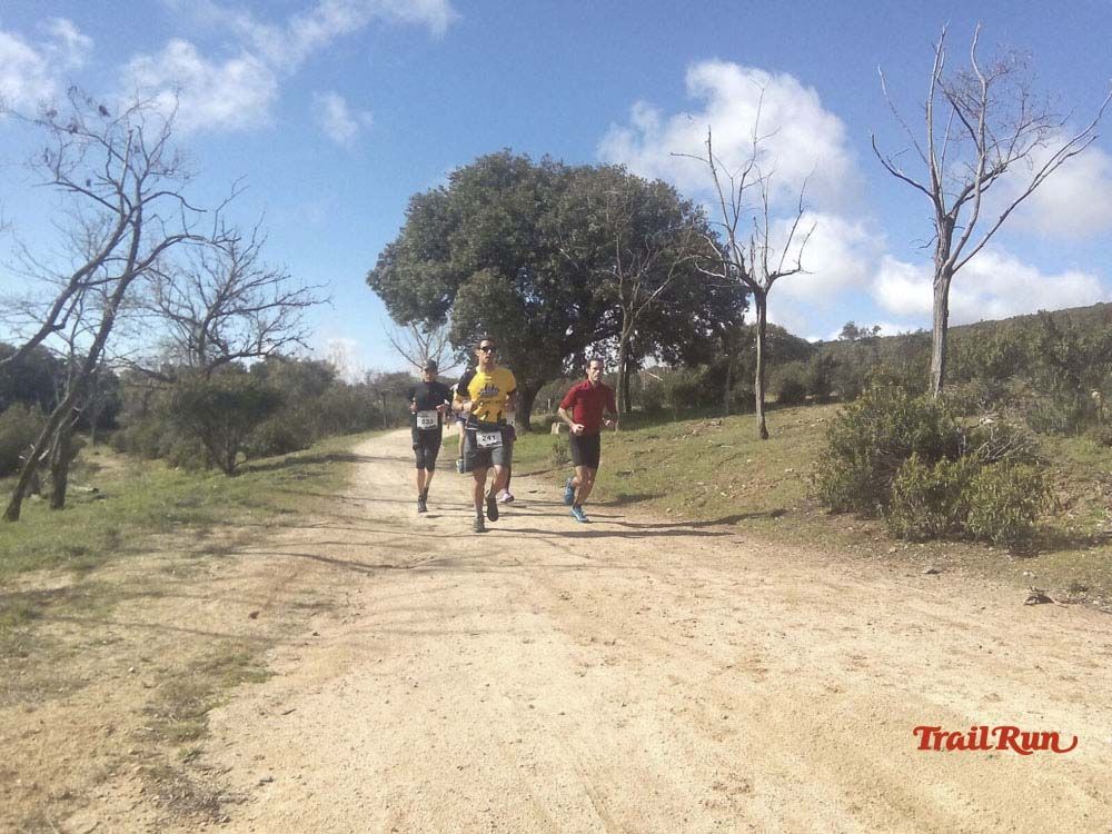 Races Trail Runing Hoyo de Manzanares 2016-12