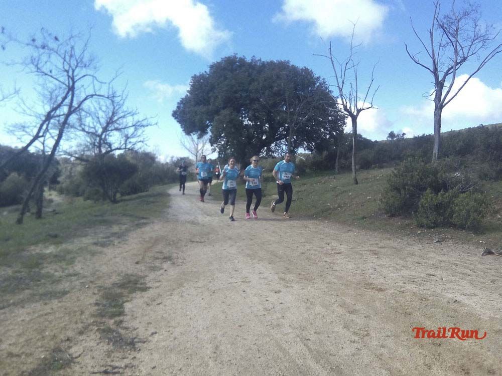 Races Trail Runing Hoyo de Manzanares 2016-12