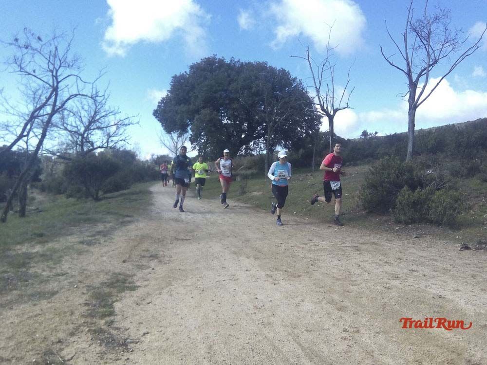 Races Trail Runing Hoyo de Manzanares 2016-12