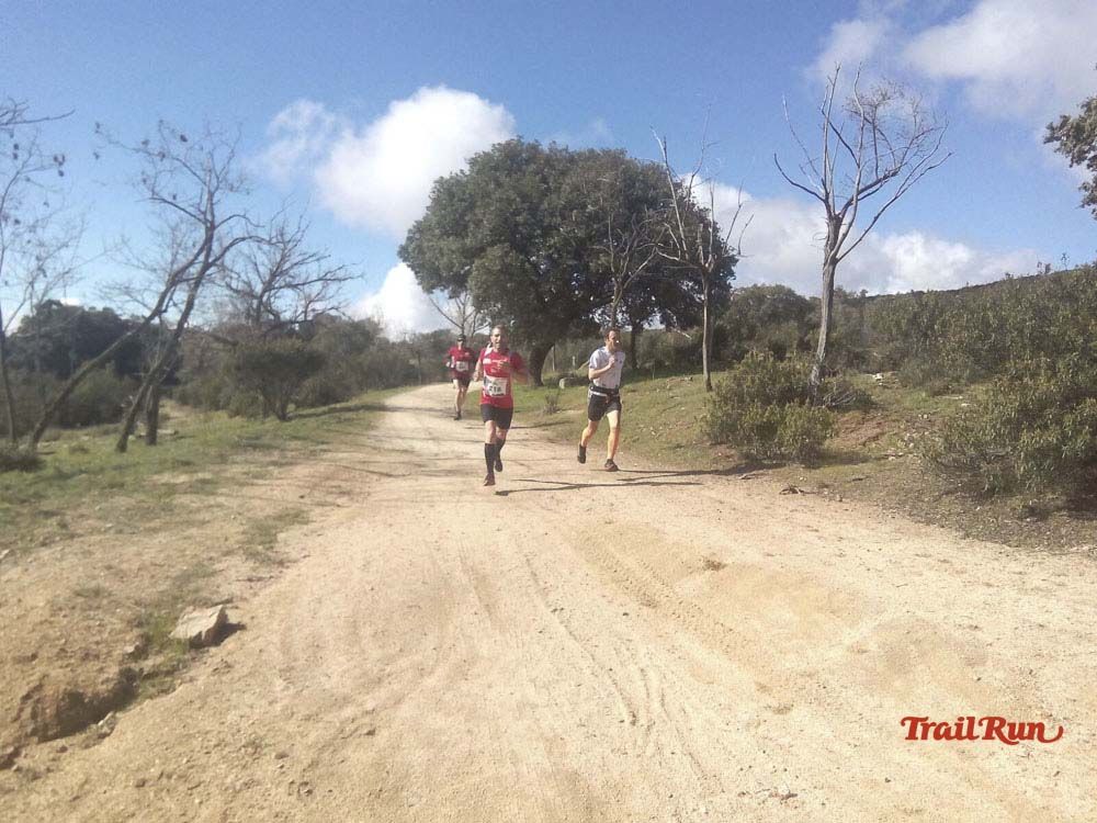 Races Trail Runing Hoyo de Manzanares 2016-12