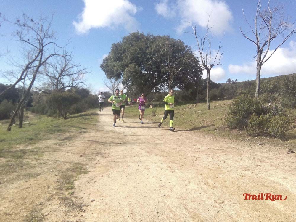 Races Trail Runing Hoyo de Manzanares 2016-12