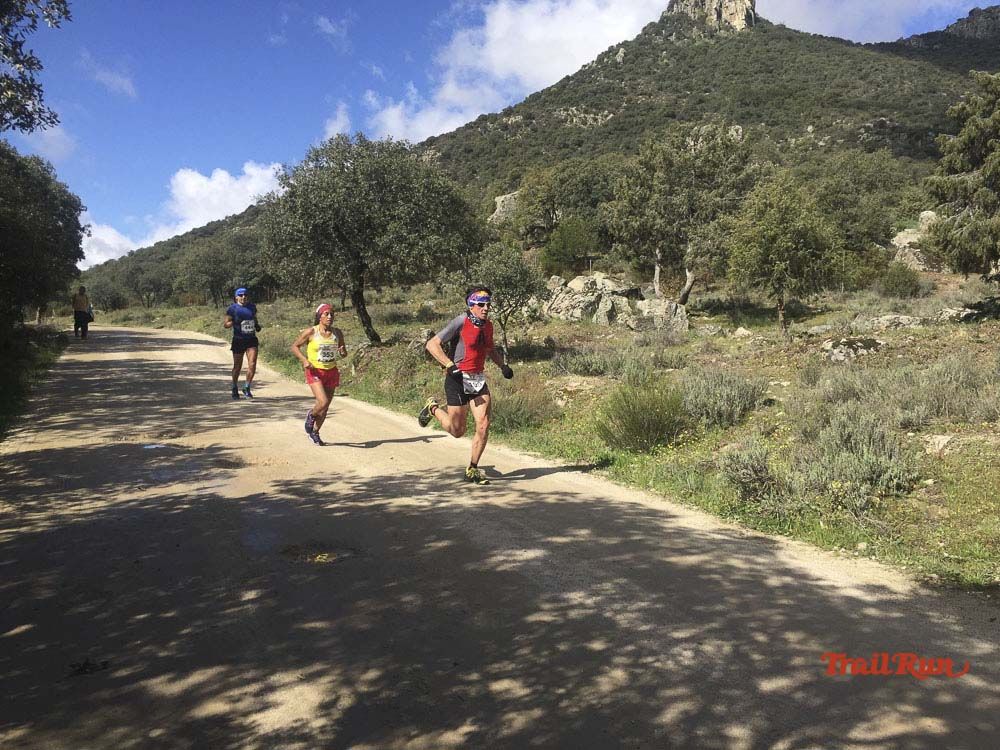 Races Trail Runing Hoyo de Manzanares 2016-12