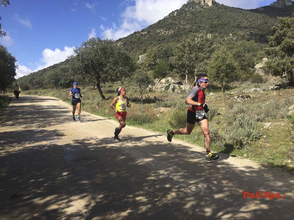 Races Trail Runing Hoyo de Manzanares 2016-12