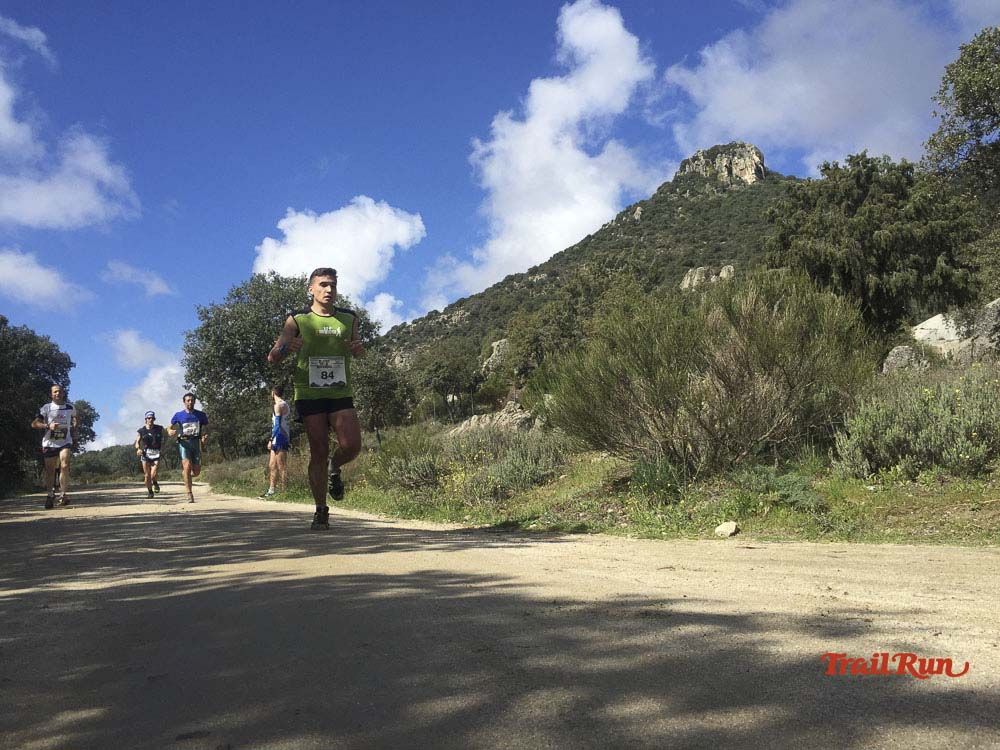 Races Trail Runing Hoyo de Manzanares 2016-12