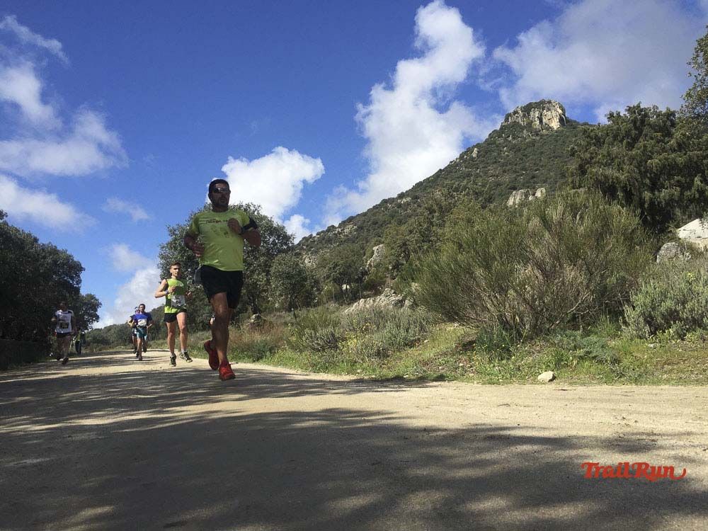 Races Trail Runing Hoyo de Manzanares 2016-12