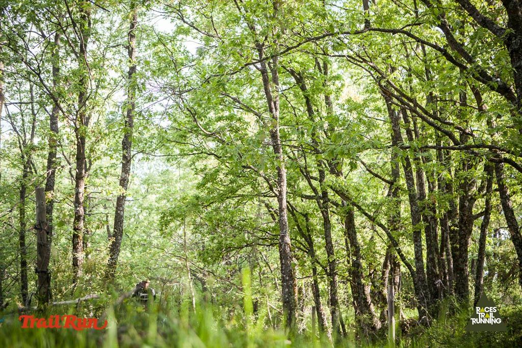 Trail Challenge Riaza-1