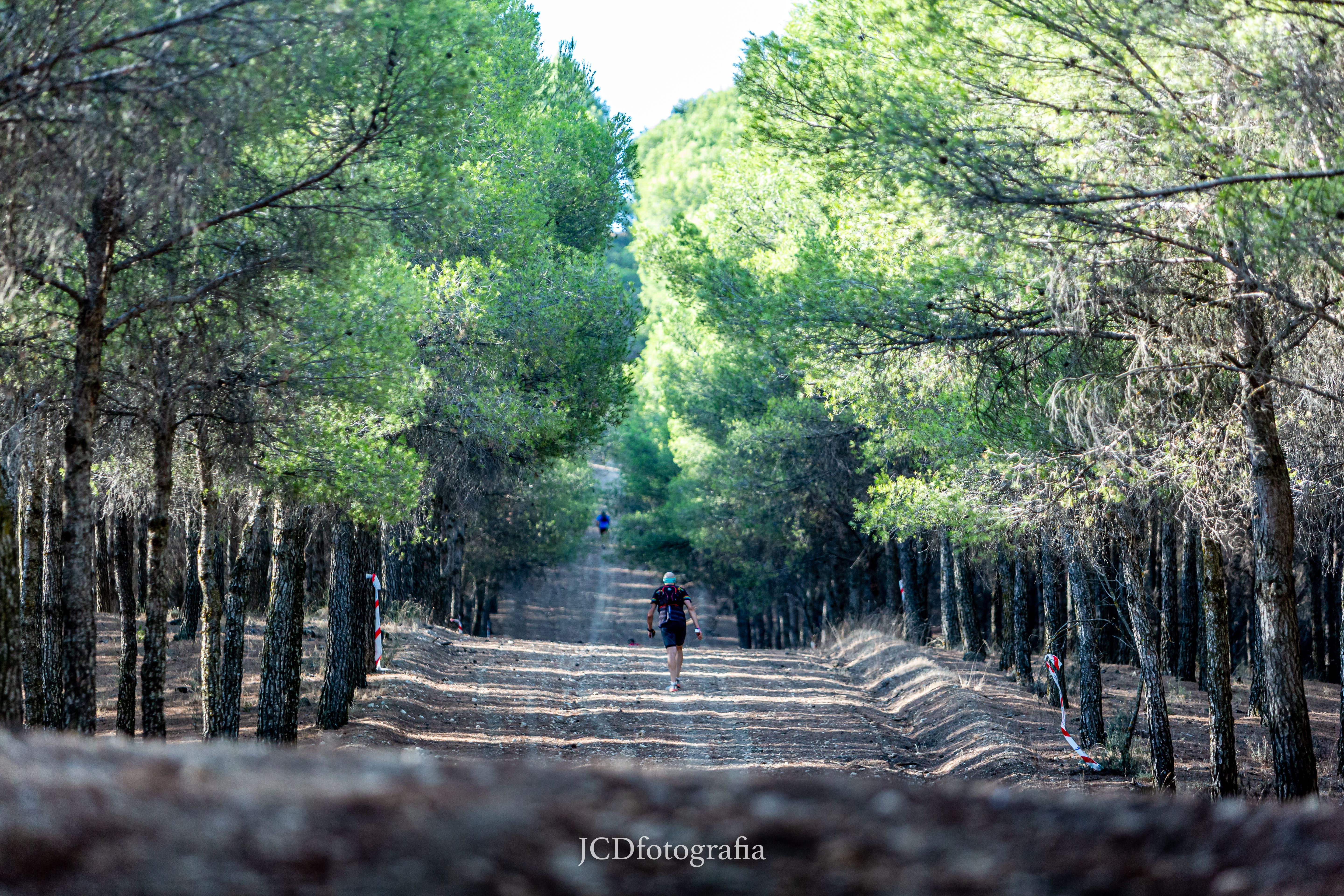 Alameda Trail
