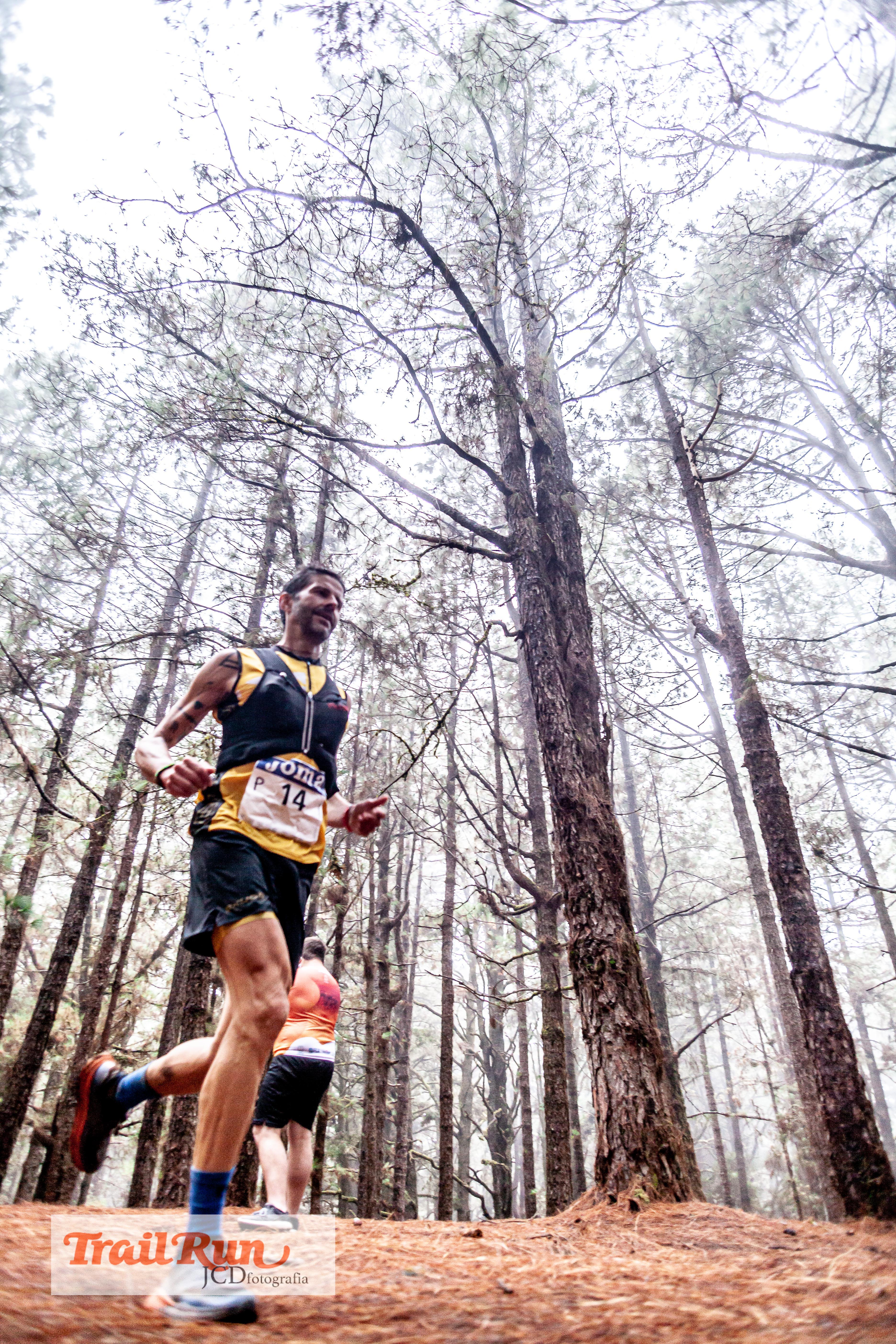 Campeonato de España de Trail