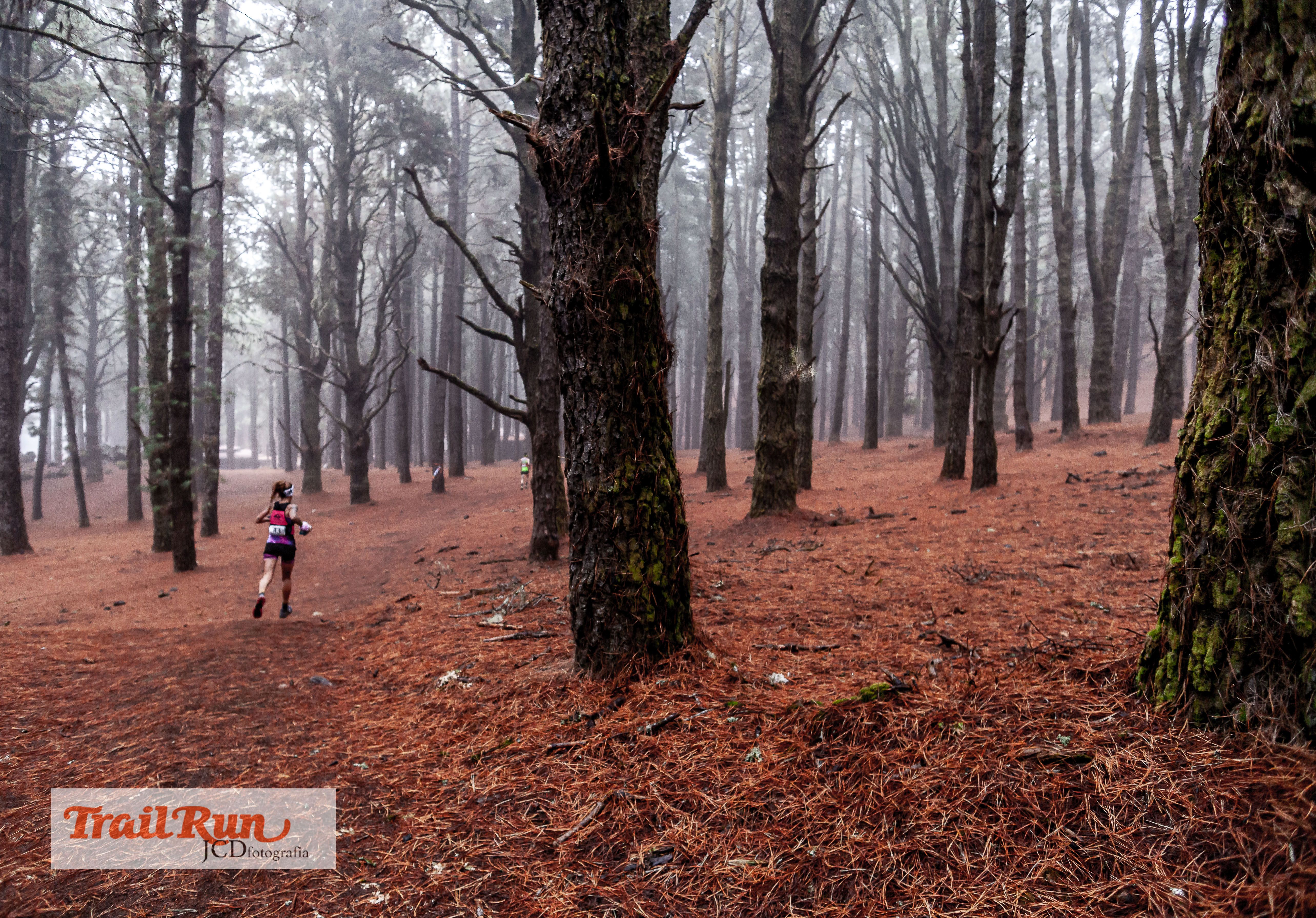 Campeonato de España de Trail