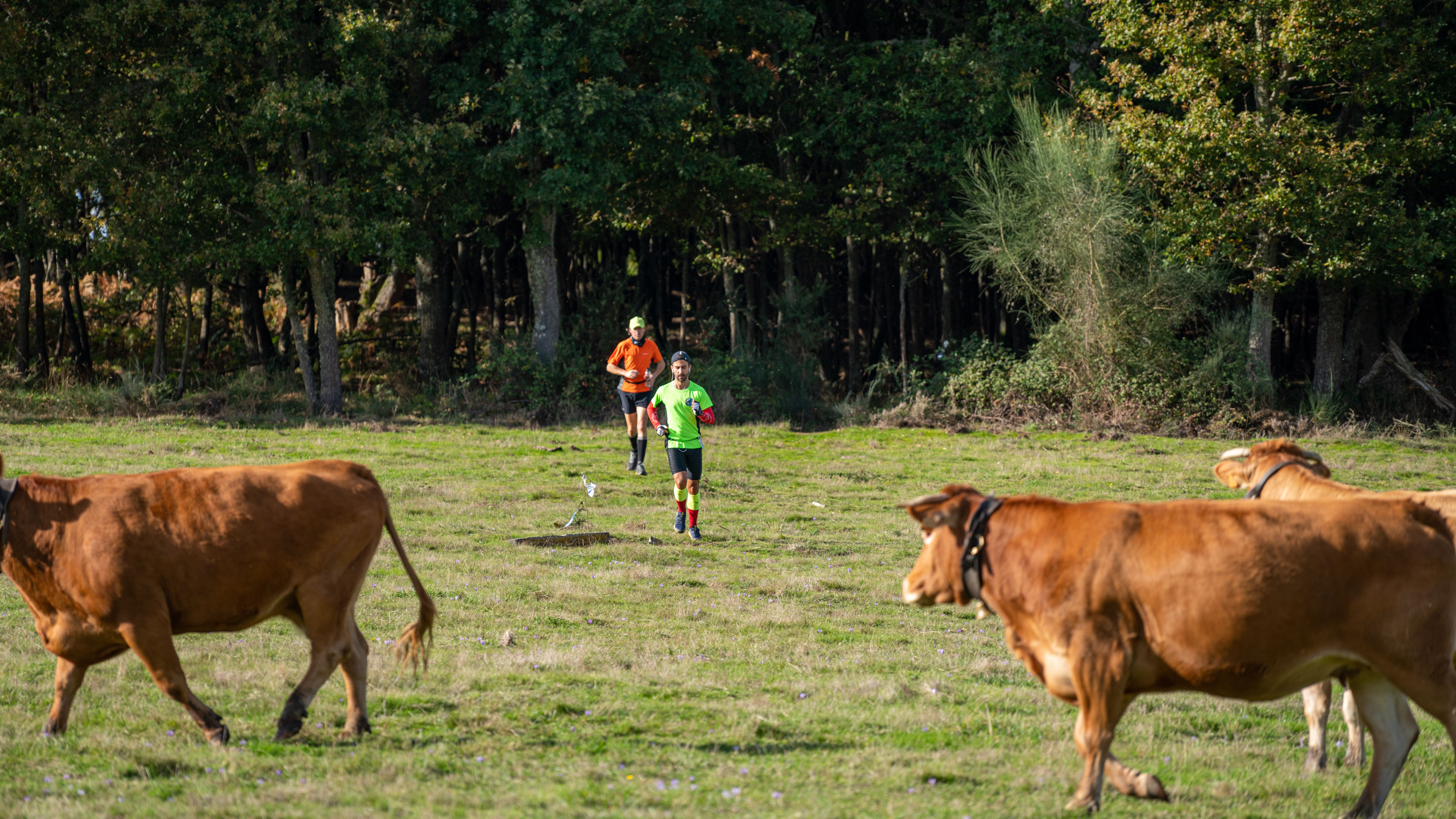 Big's Backyard Ultra España 2020