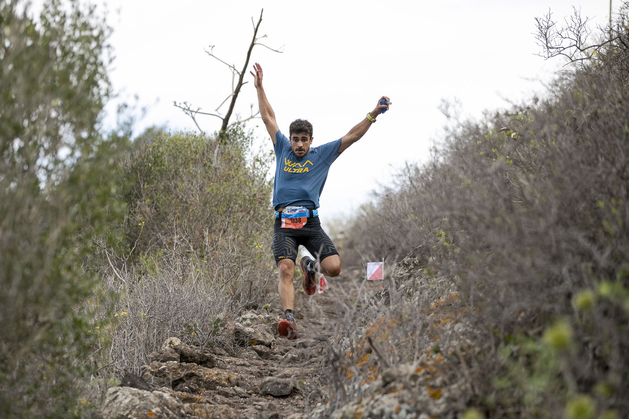 LPA TRAIL 2020