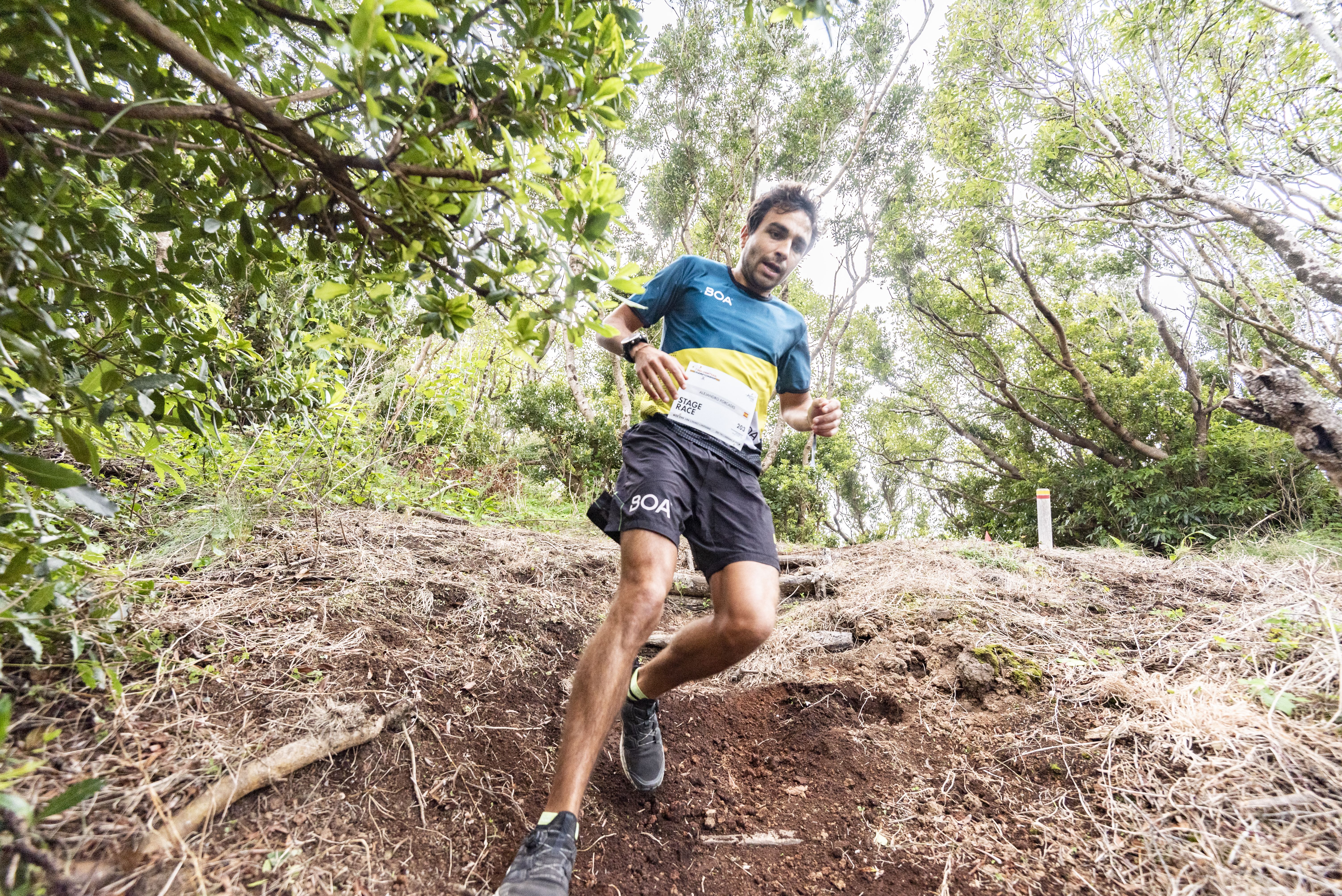 ©️GoldenTrailSeries ®️ Azores Trail Run®️ Pedro Silva | GTCAzores PROLOGUE