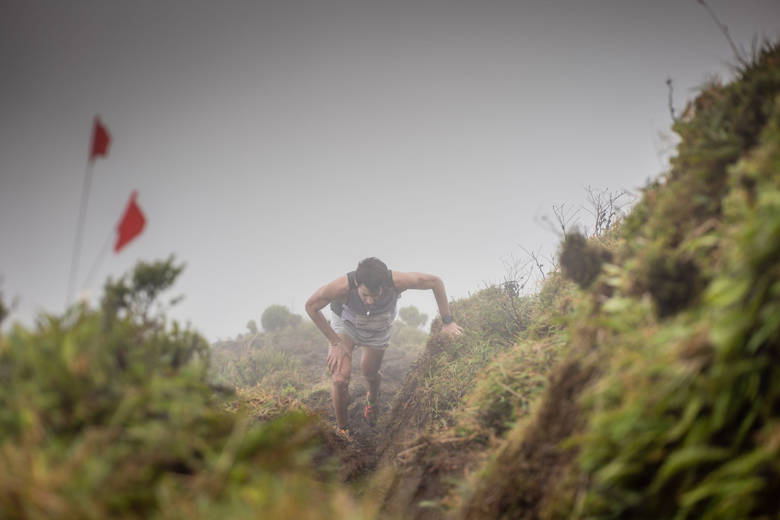 ©️GoldenTrailSeries ®️ Azores Trail Run©️ Philipp Reiter | GTCAzores Stage 4