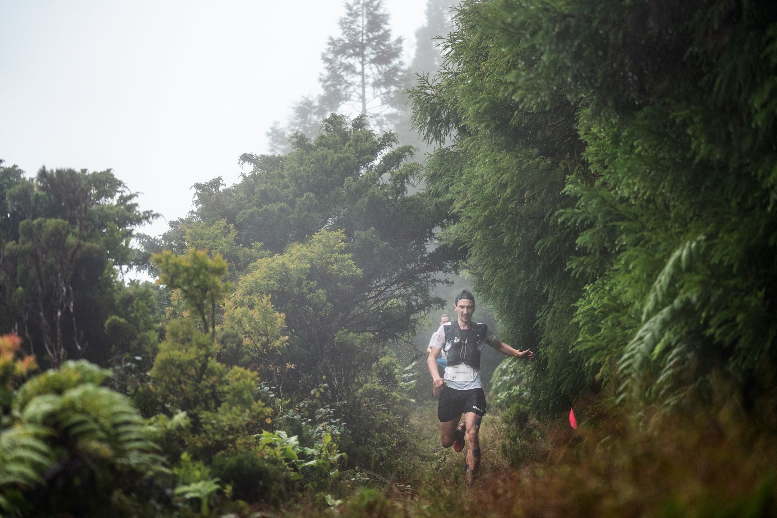 ©️GoldenTrailSeries ®️ Azores Trail Run©️ Jordi Saragossa | GTCAzores Stage 4