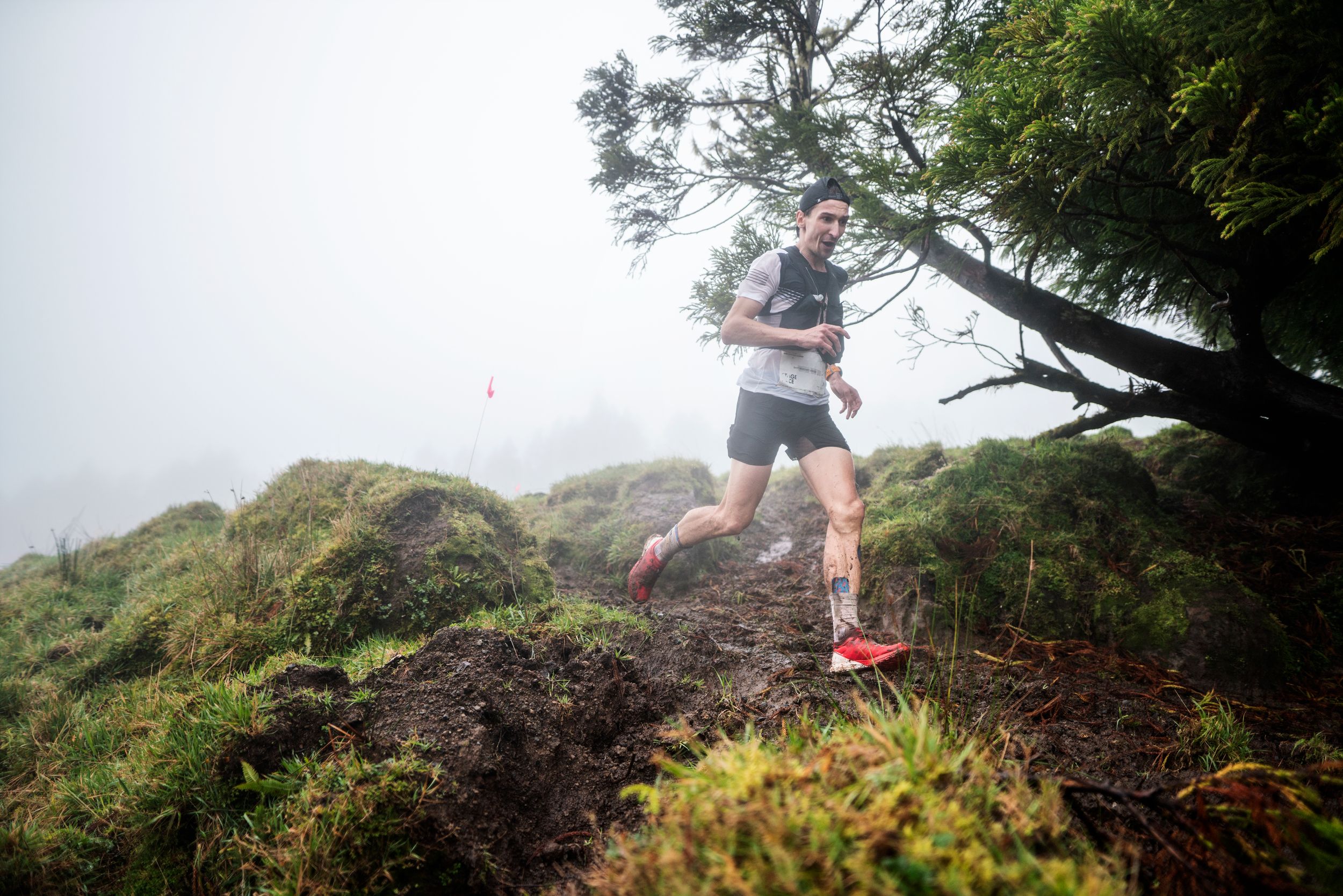 ©️GoldenTrailSeries ®️ Azores Trail Run©️ Jordi Saragossa | GTCAzores Stage 4@jsaragossa GTCAzores stage4 JSA8015
