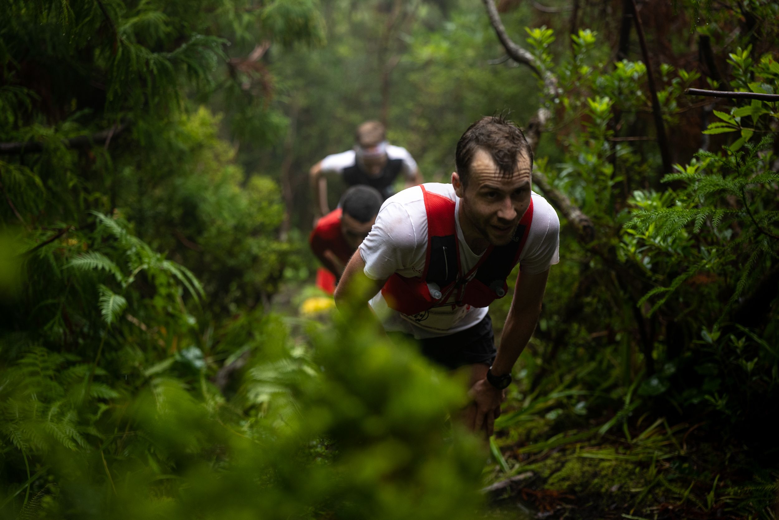 ©️GoldenTrailSeries ®️ Azores Trail Run©️ Philipp Reiter | GTCAzores Stage 4  