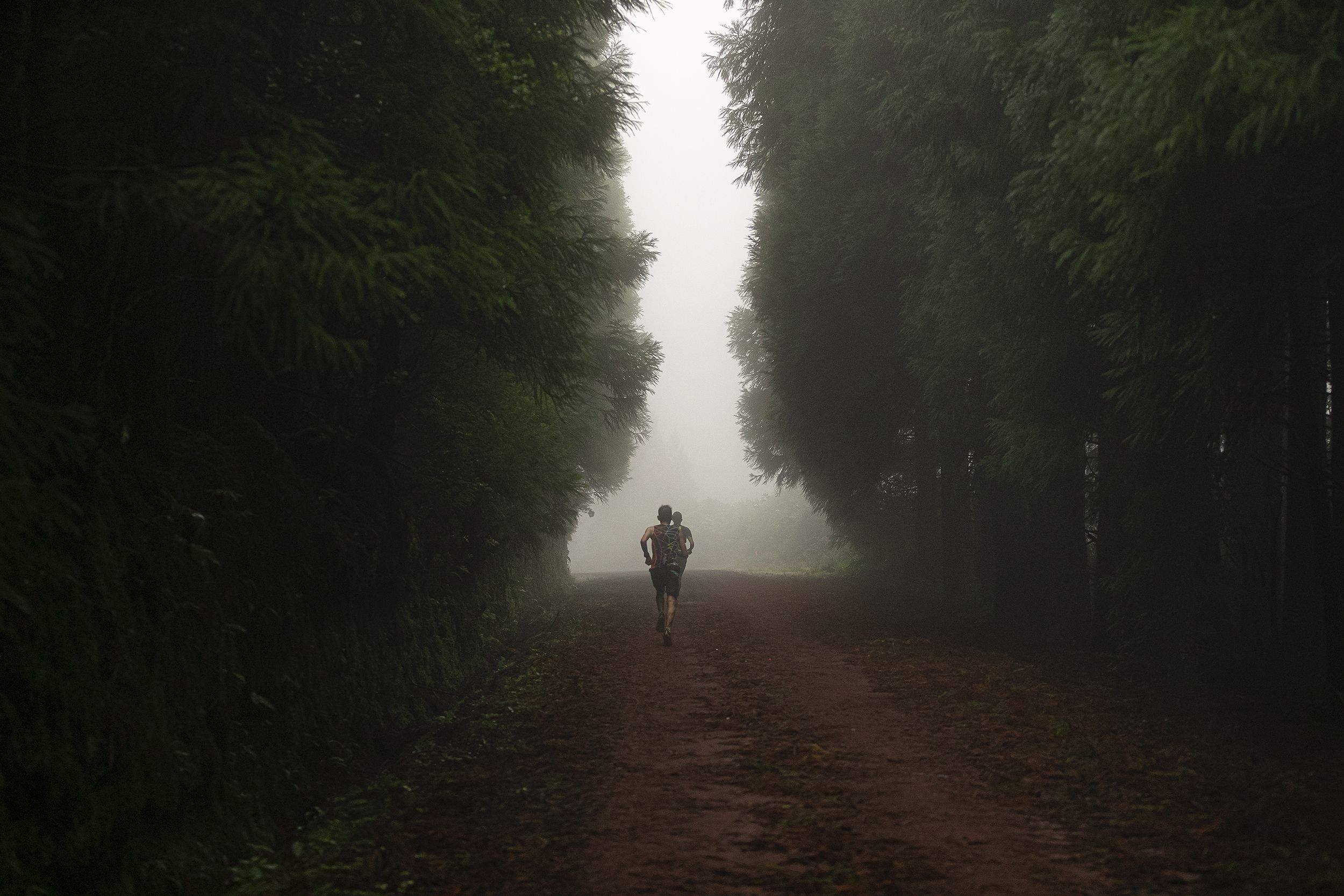 ©️GoldenTrailSeries ®️ Azores Trail Run | GTCAzores Stage 4  