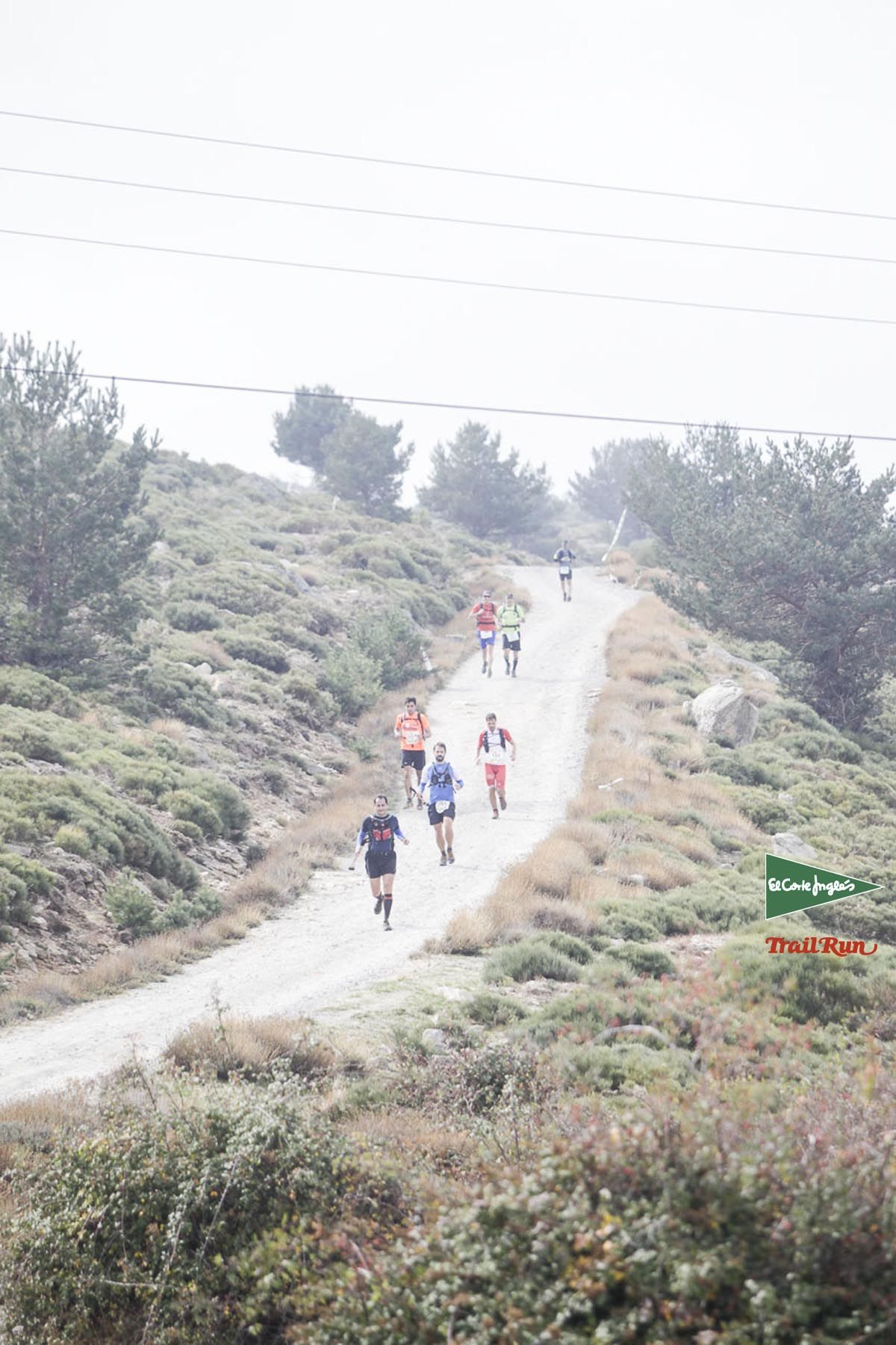 Races Trail Running-3
