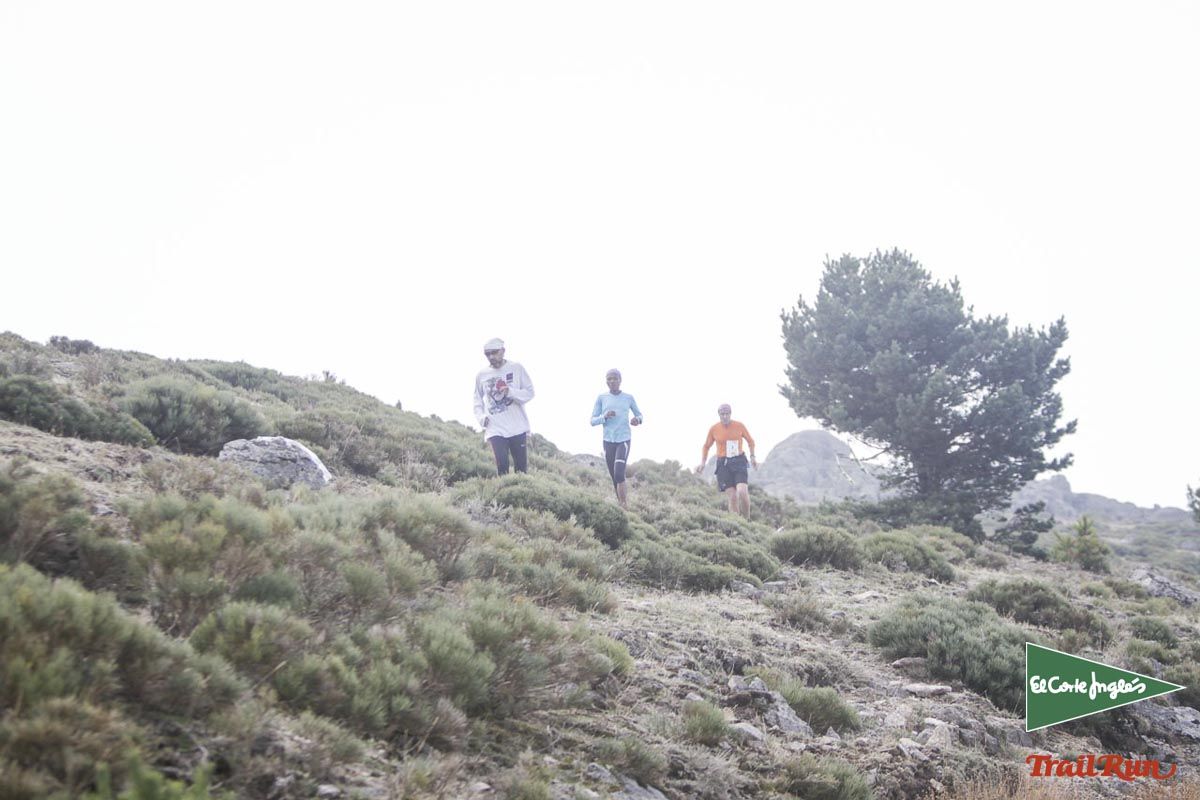 Races Trail Running-3
