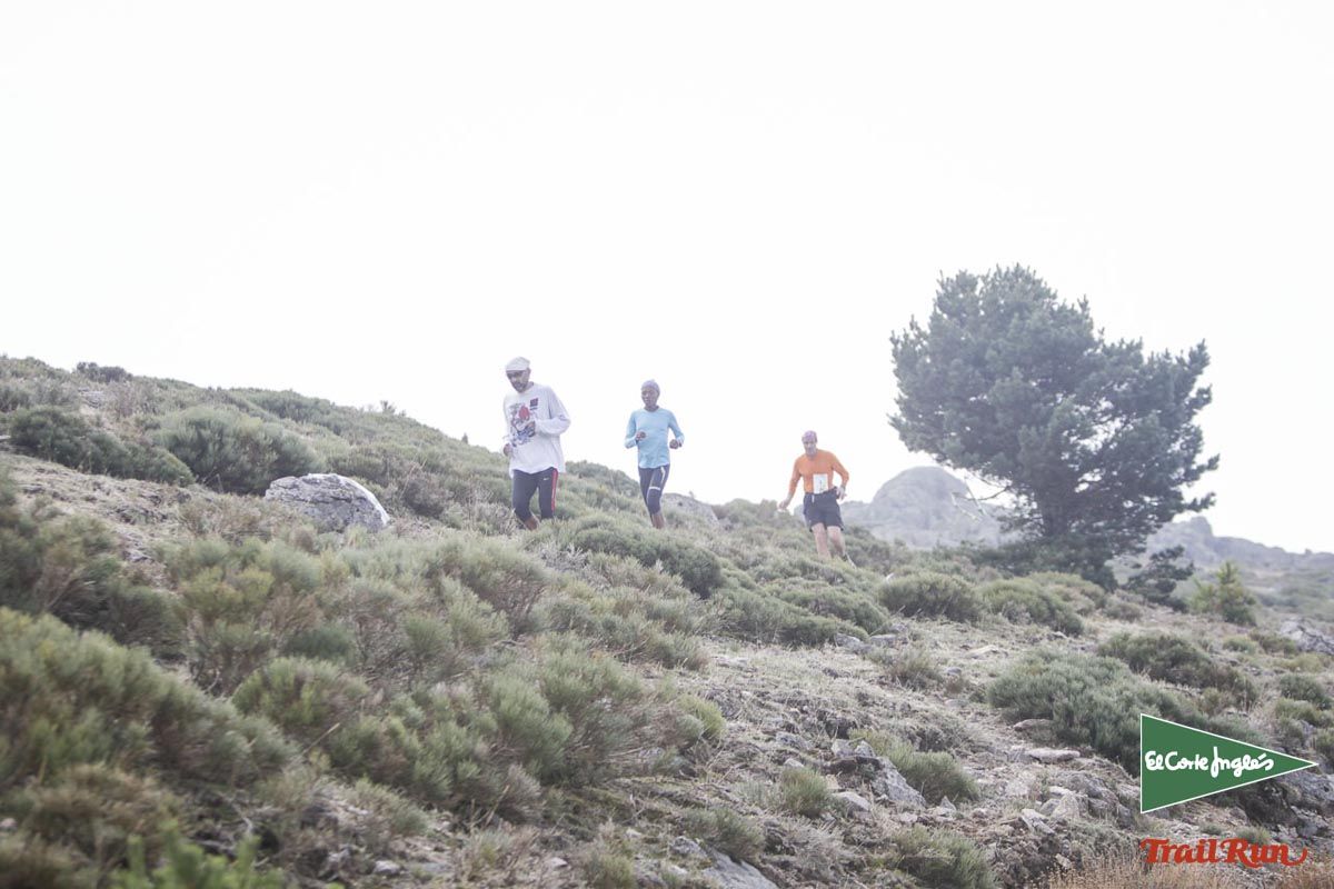 Races Trail Running-3