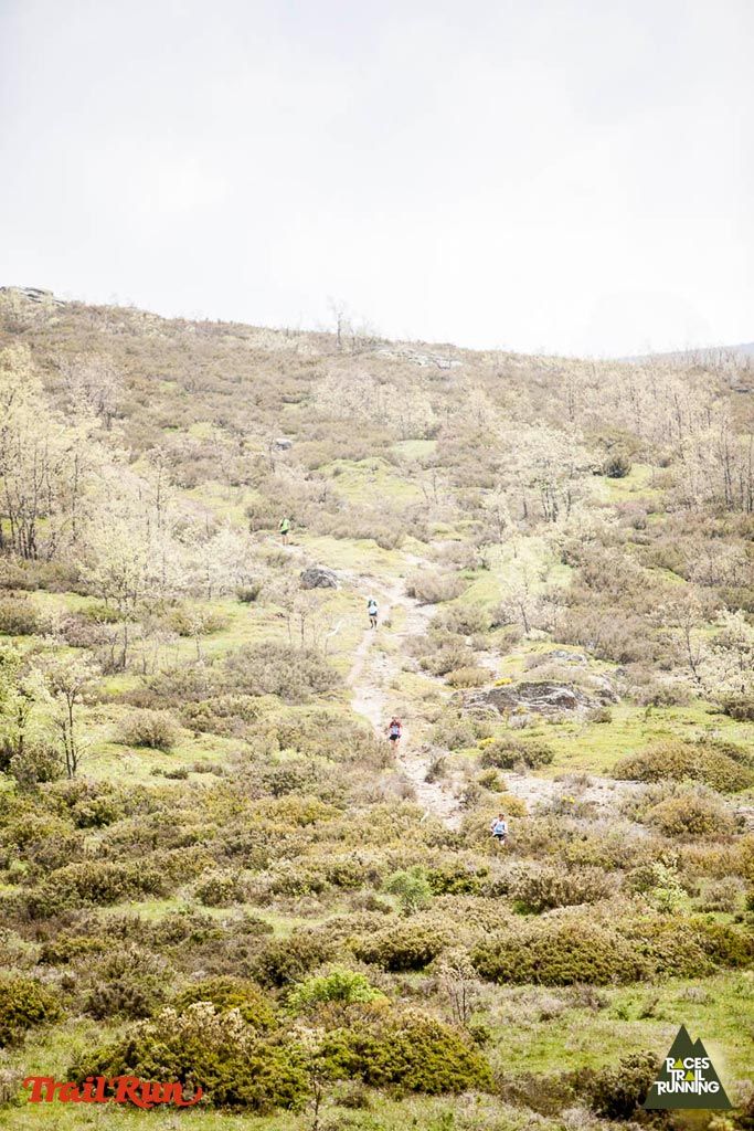 Trail Challenge Riaza-3