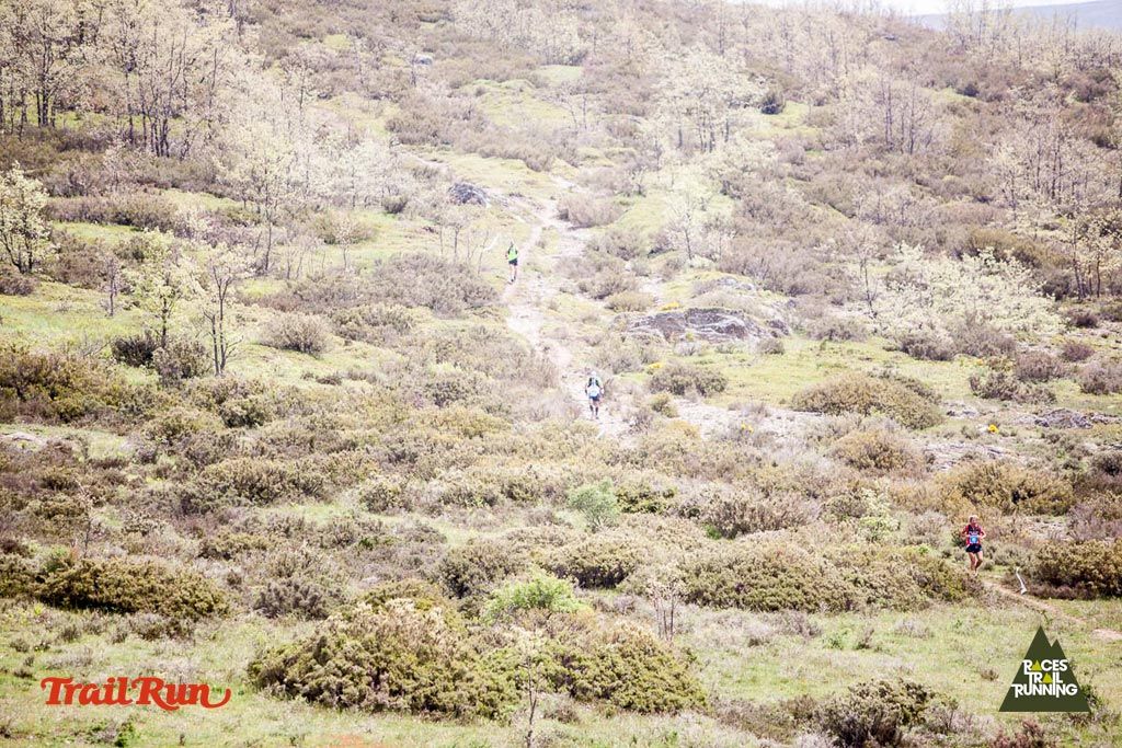 Trail Challenge Riaza-3