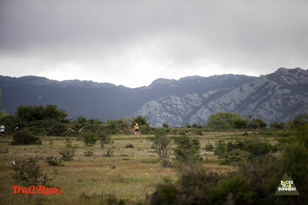 Trail Challenge Riaza-3