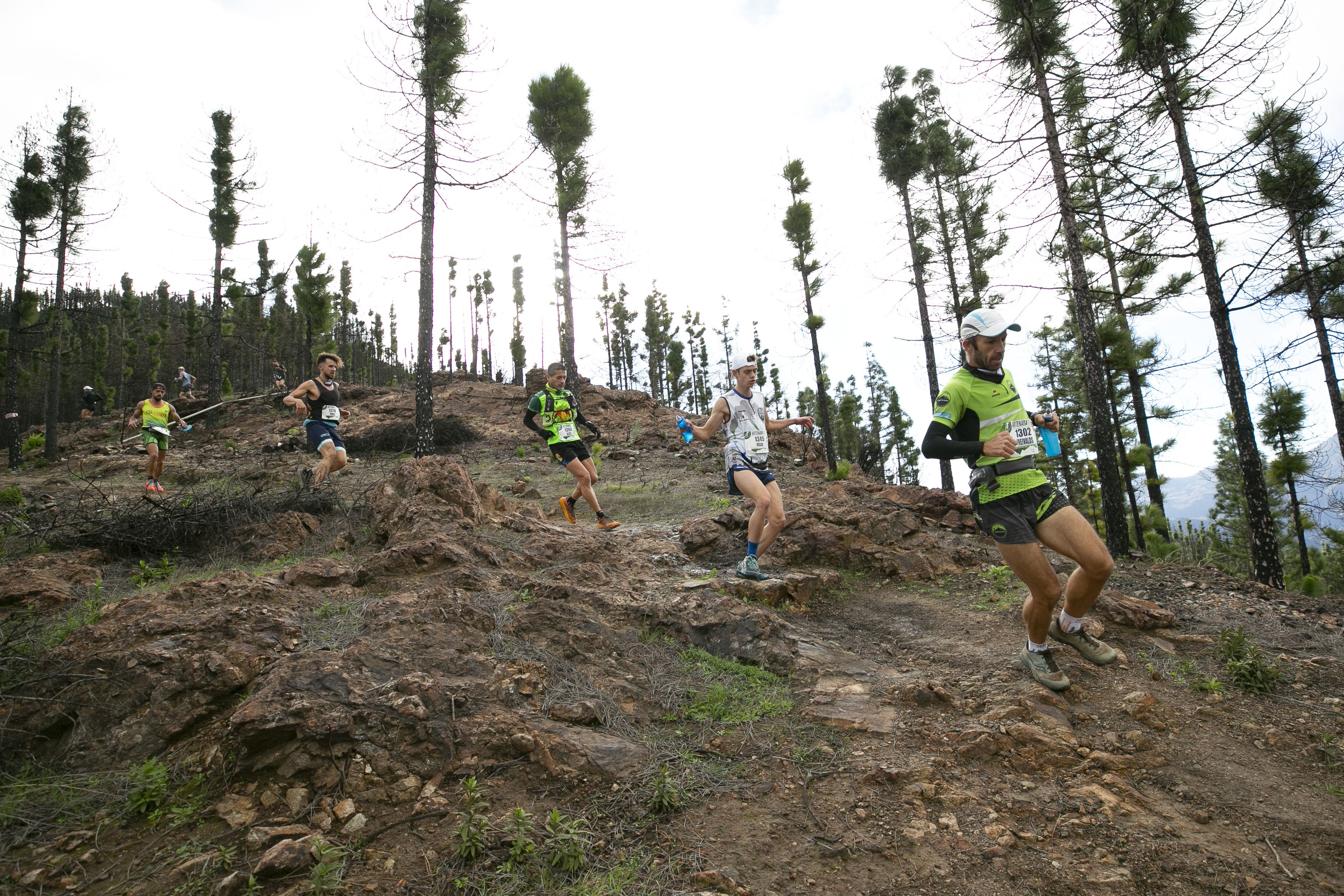 Artenara Trail 2020