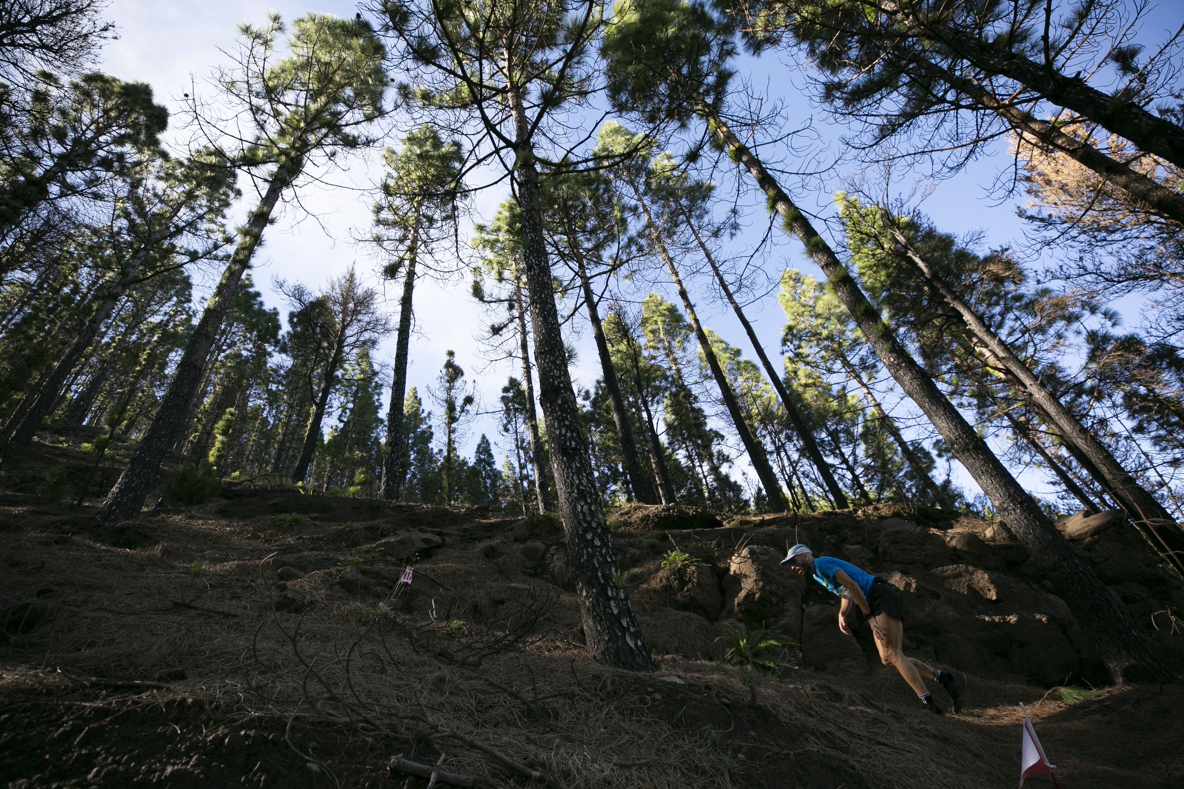 Artenara Trail 2020