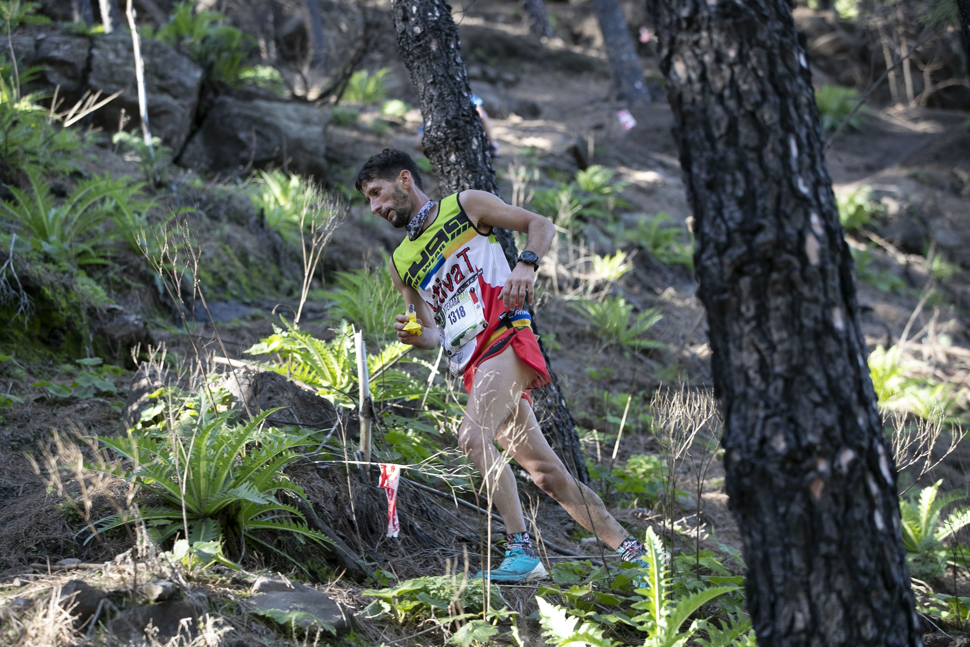 Artenara Trail 2020