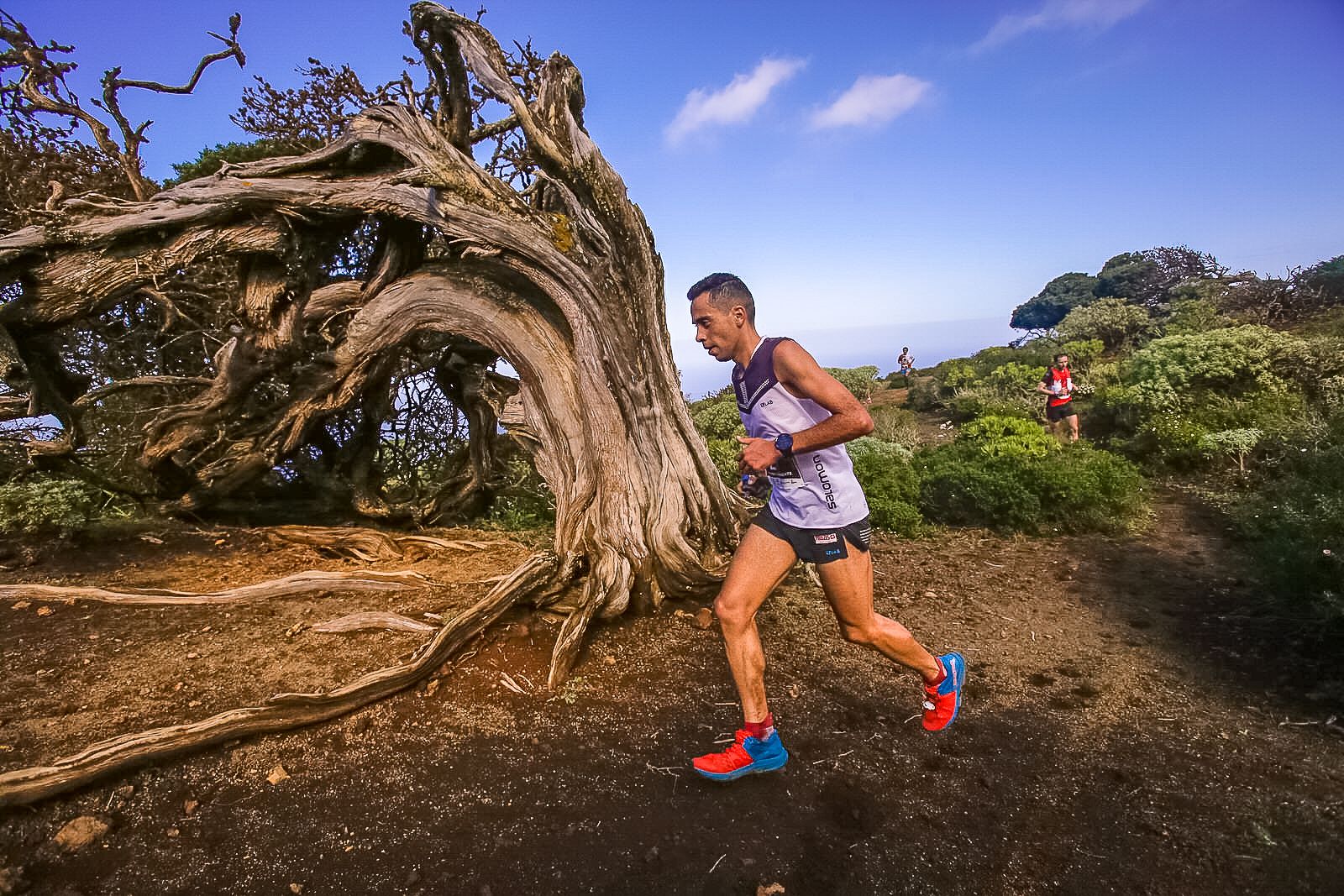 Cristofer Clemente en la Maratón del Meridiano 2019. Racephotos