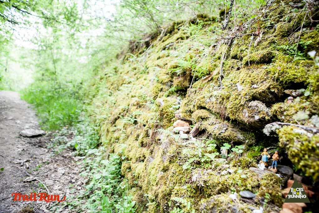 Trail Challenge Riaza-4