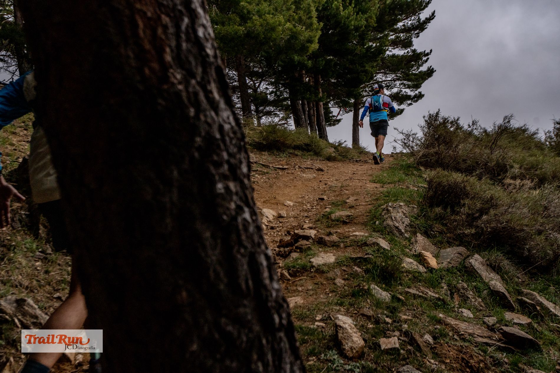 Galería Ultra Sierra Nevada. Foto: JCDFotografía.
