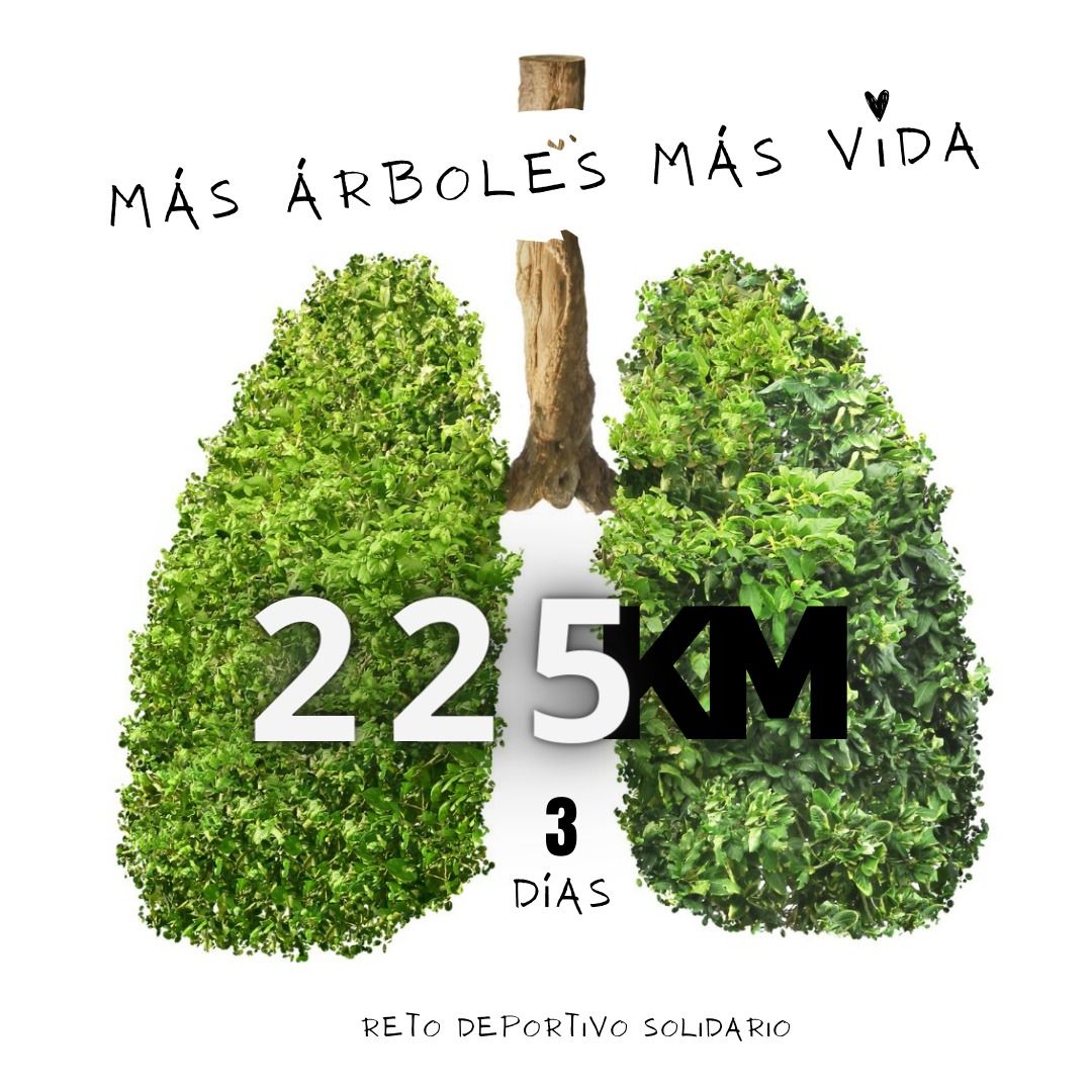 Más árboles, más vida