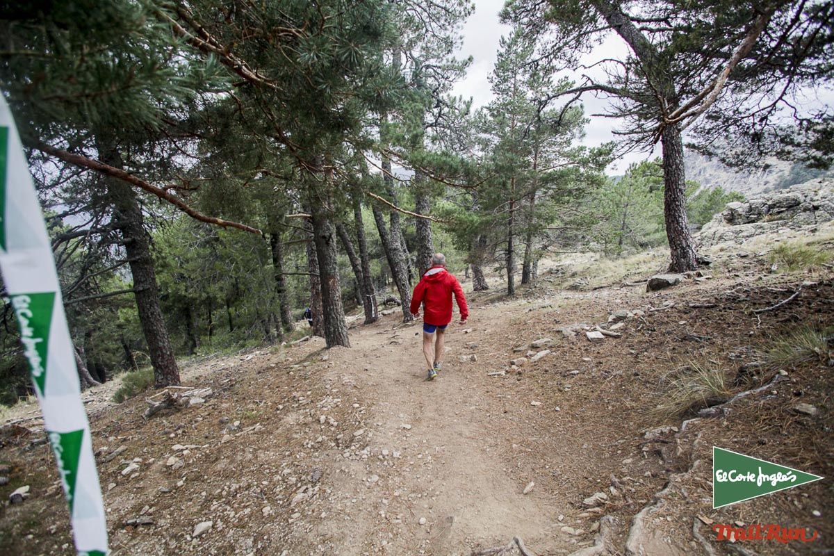 Races Trail Running-3