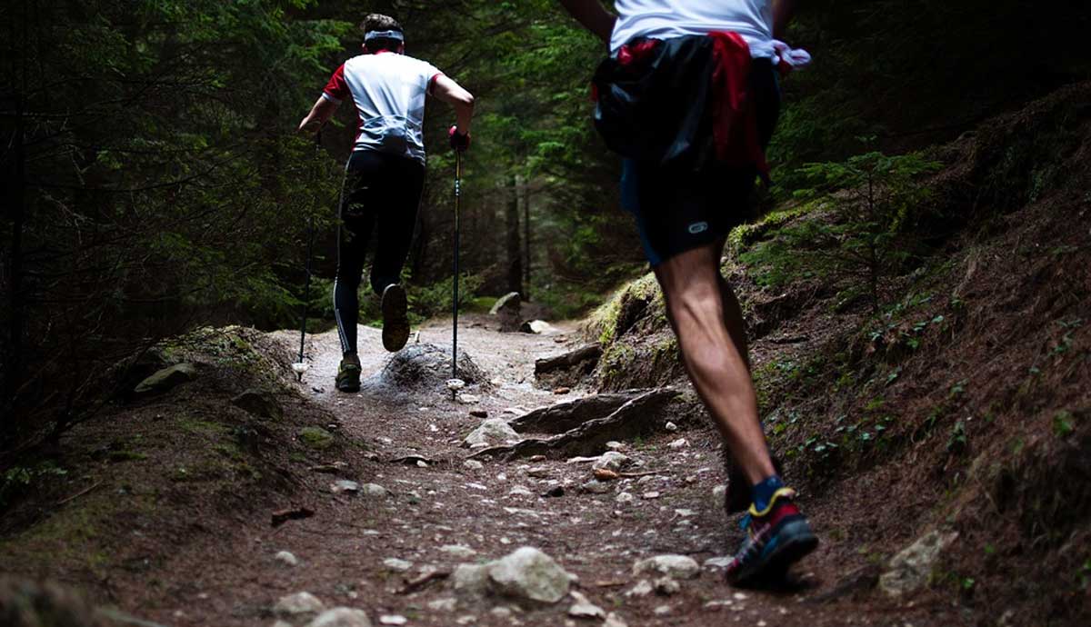 Cómo elegir tus zapatillas de trail running?