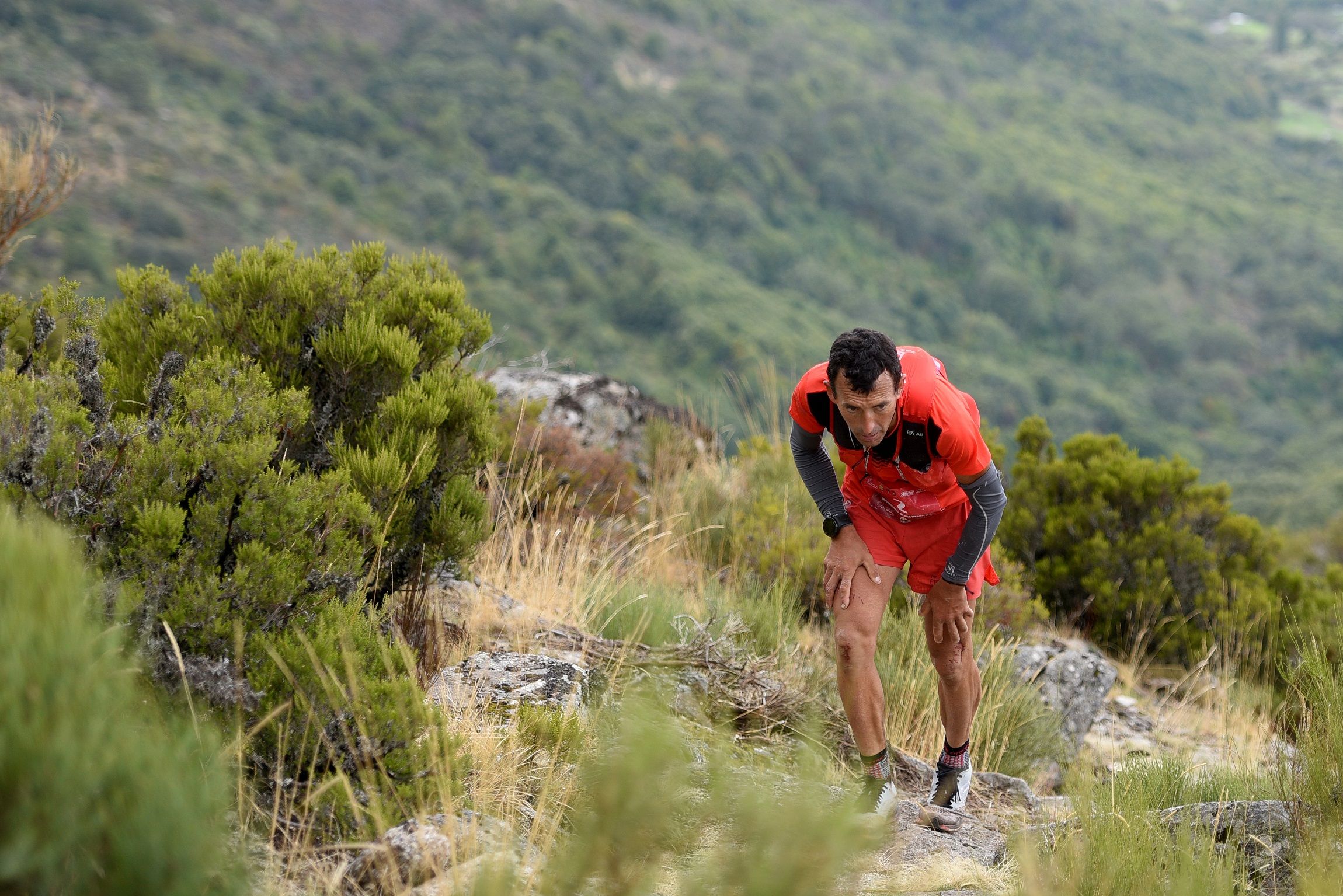 Miguel Heras. Ultrail La Covatilla©