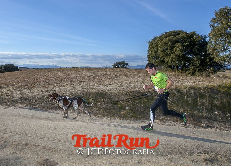 Mushing de Villamanta: canicross y bikejoring popular
