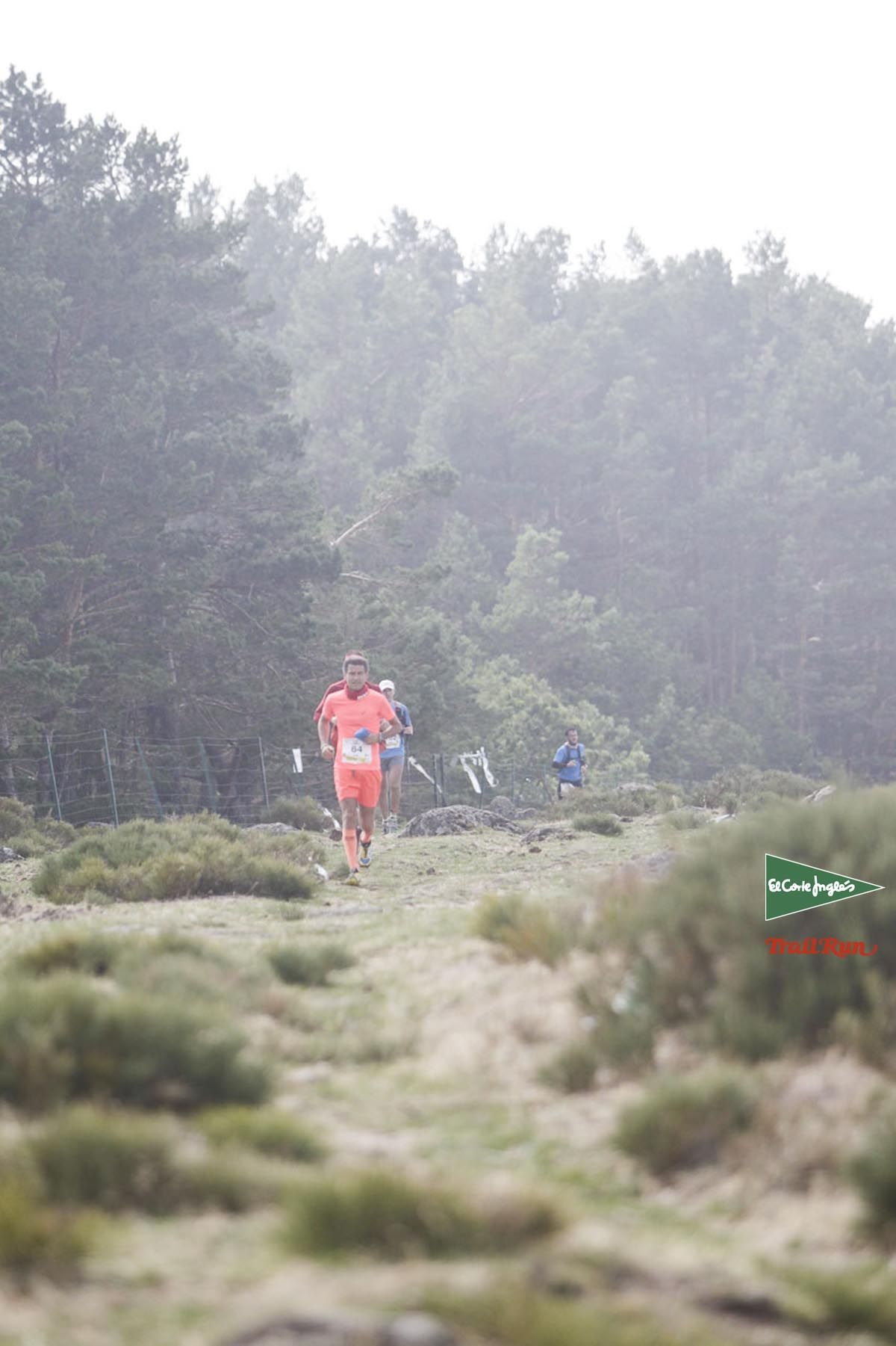 Races Trail Running-3