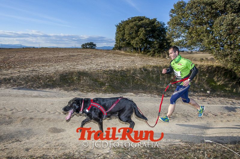 Mushing de Villamanta: canicross y bikejoring popular
