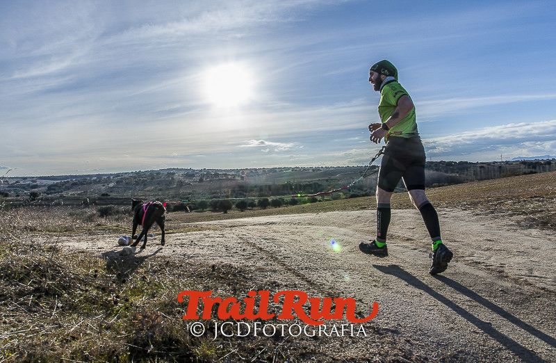 Mushing de Villamanta: canicross y bikejoring popular