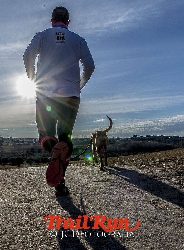 Mushing de Villamanta: canicross y bikejoring popular